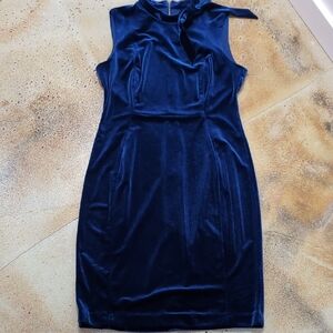 Calvin Klein | Royal Blue Velvet Stretchy Sleeveless Bodycon Dress Size 10